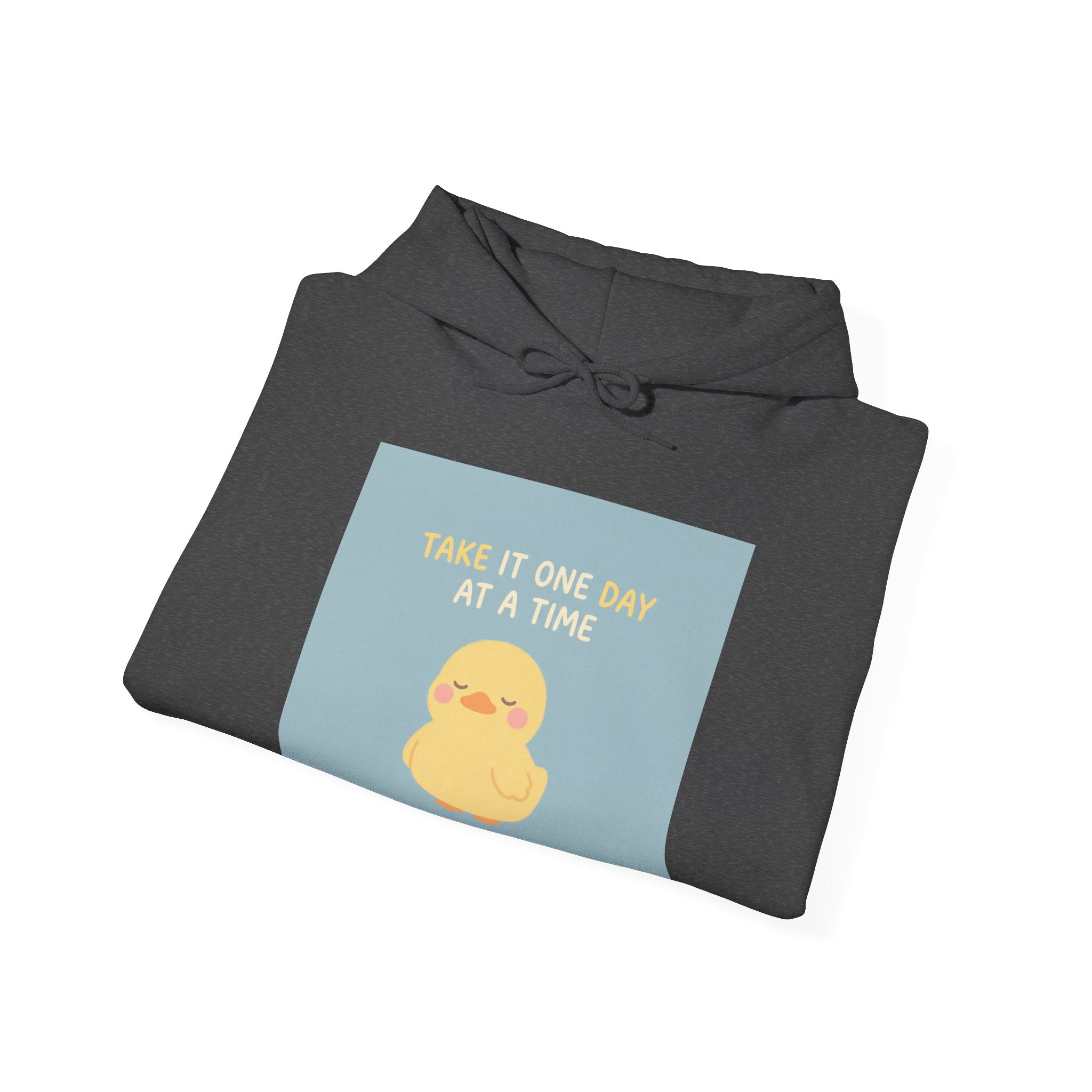 TAKE IT ONE DAY AT A TIME Duck Hoodie