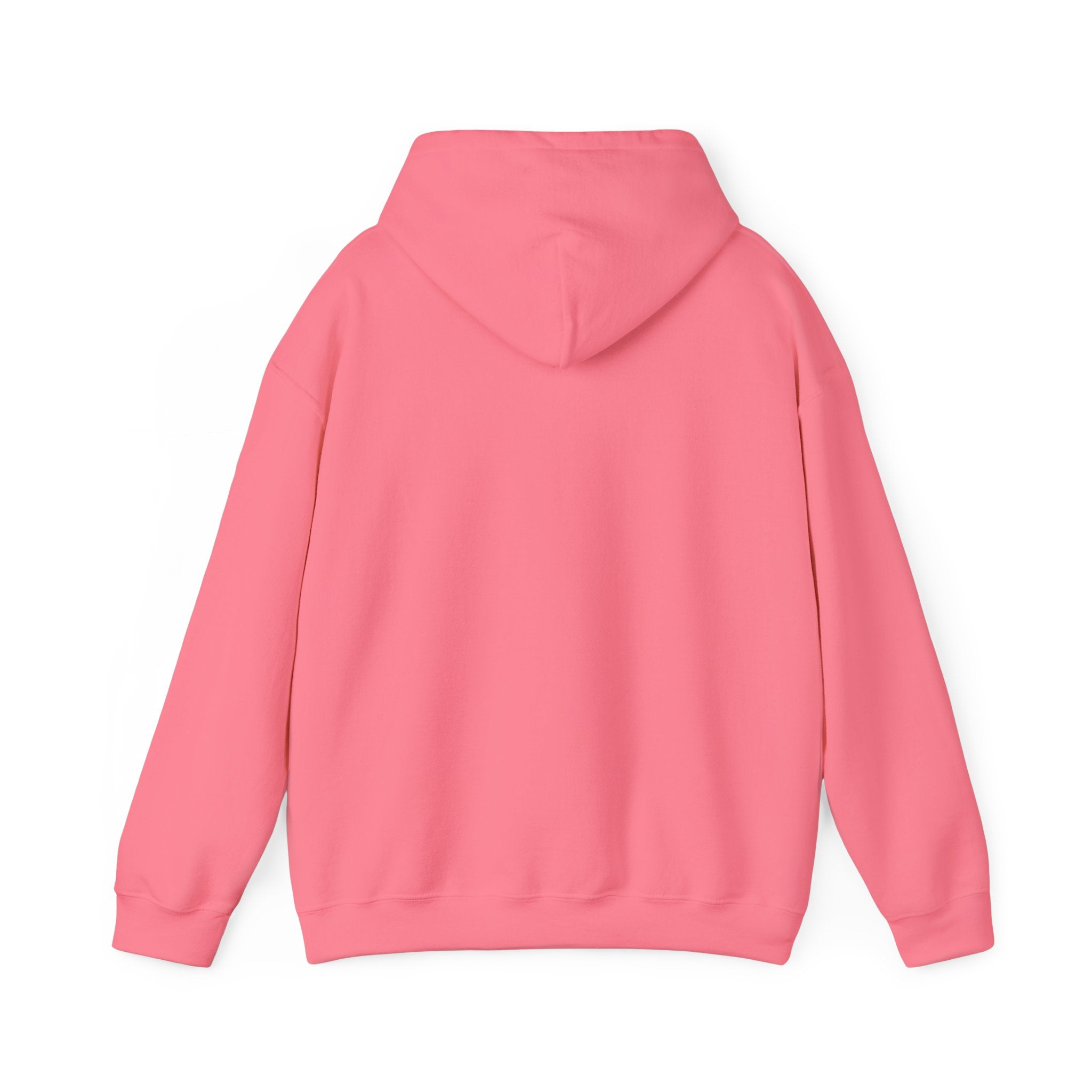 School First - KayKay Cropped Hoodie