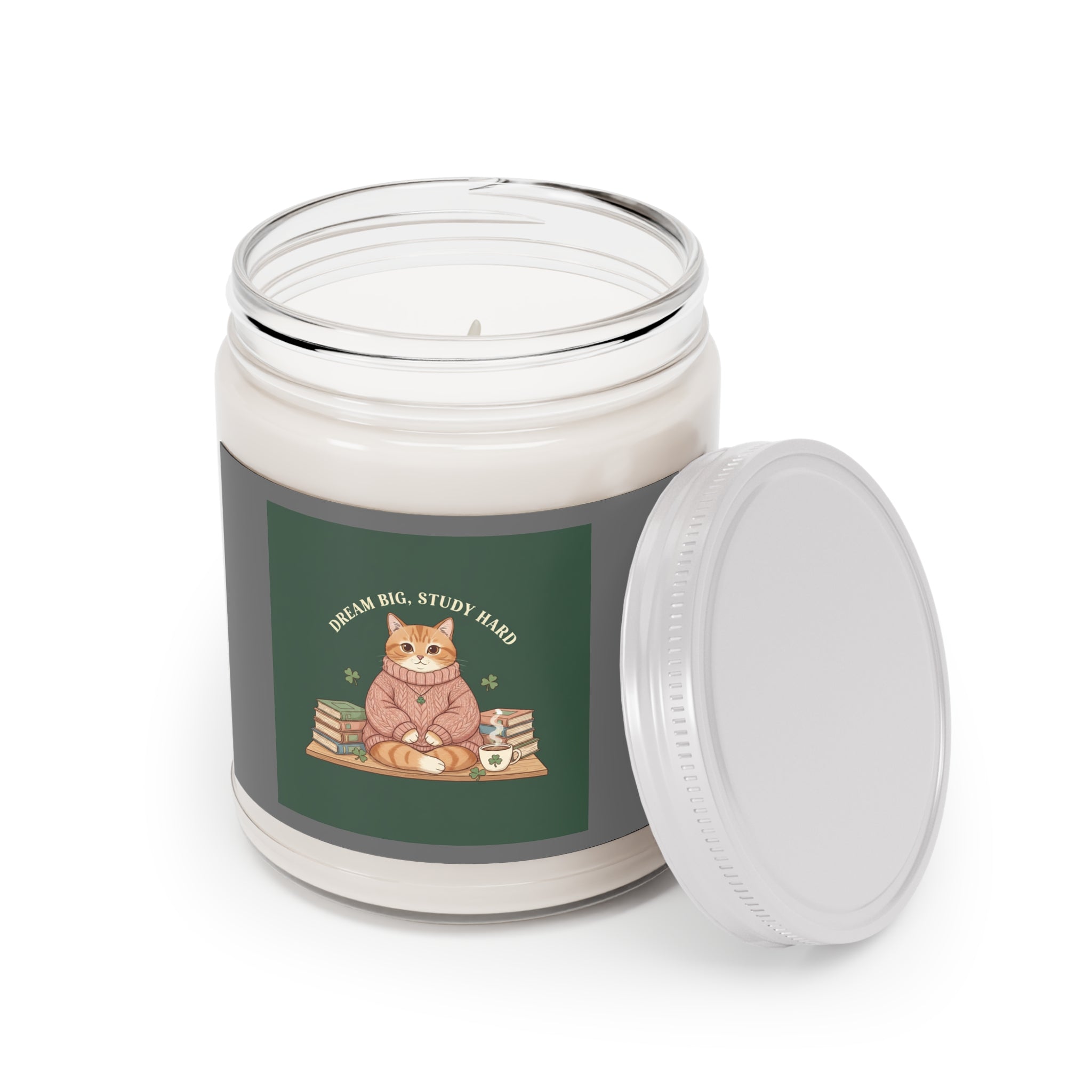 Dream Big Study Hard Cozy bear Scented Candle