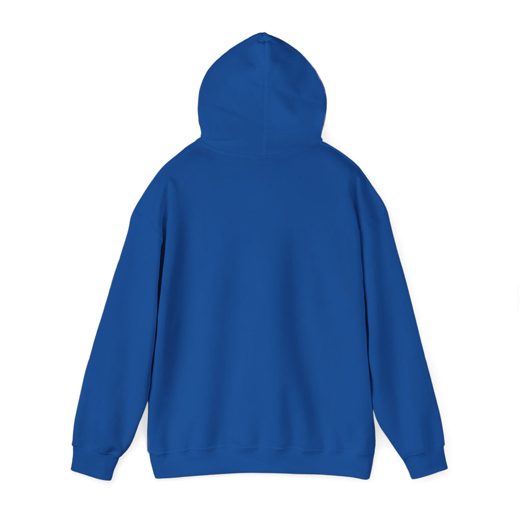 Classy Not Flashy - KayKay Hoodie
