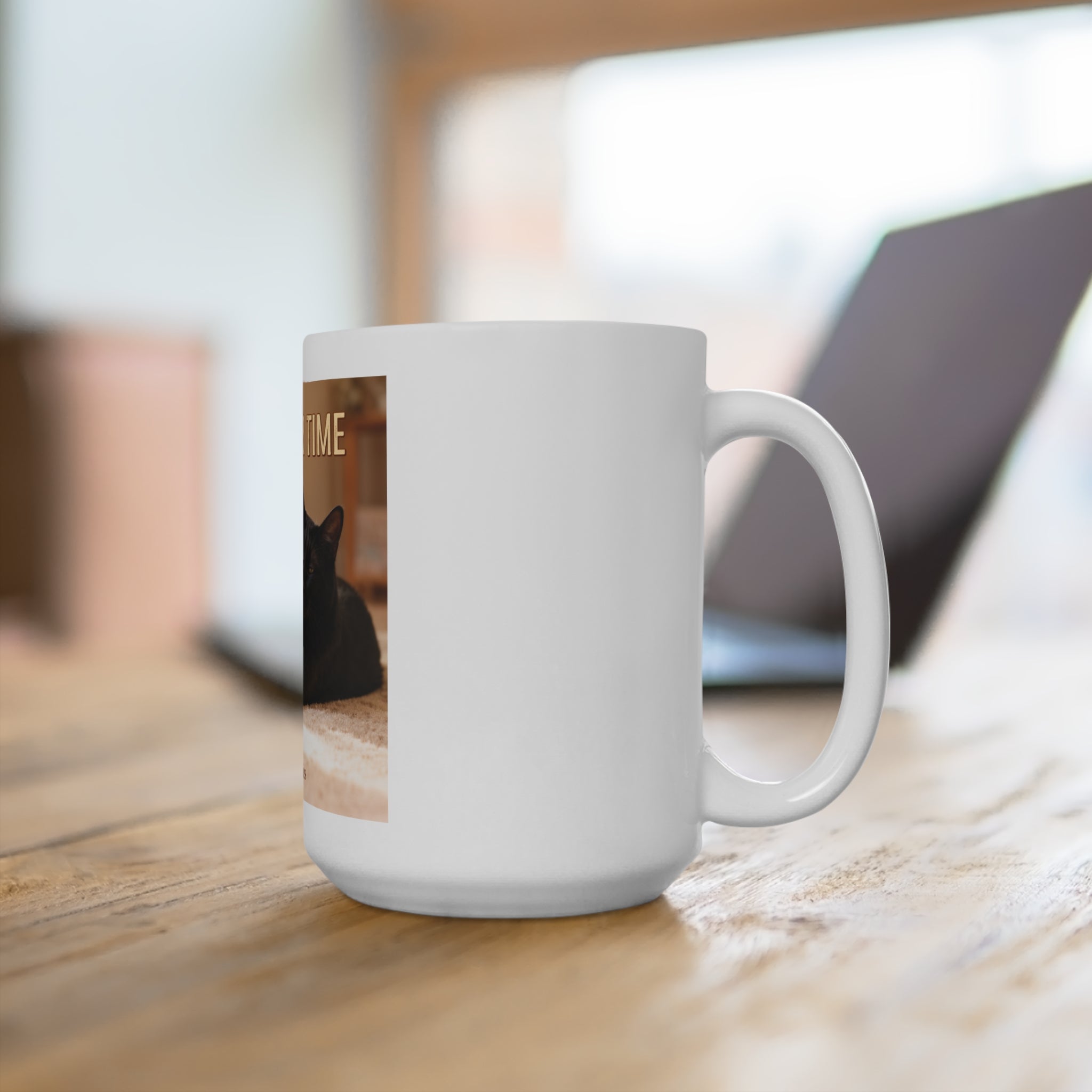 TAKE YOUR TIME Cat Mug 15oz