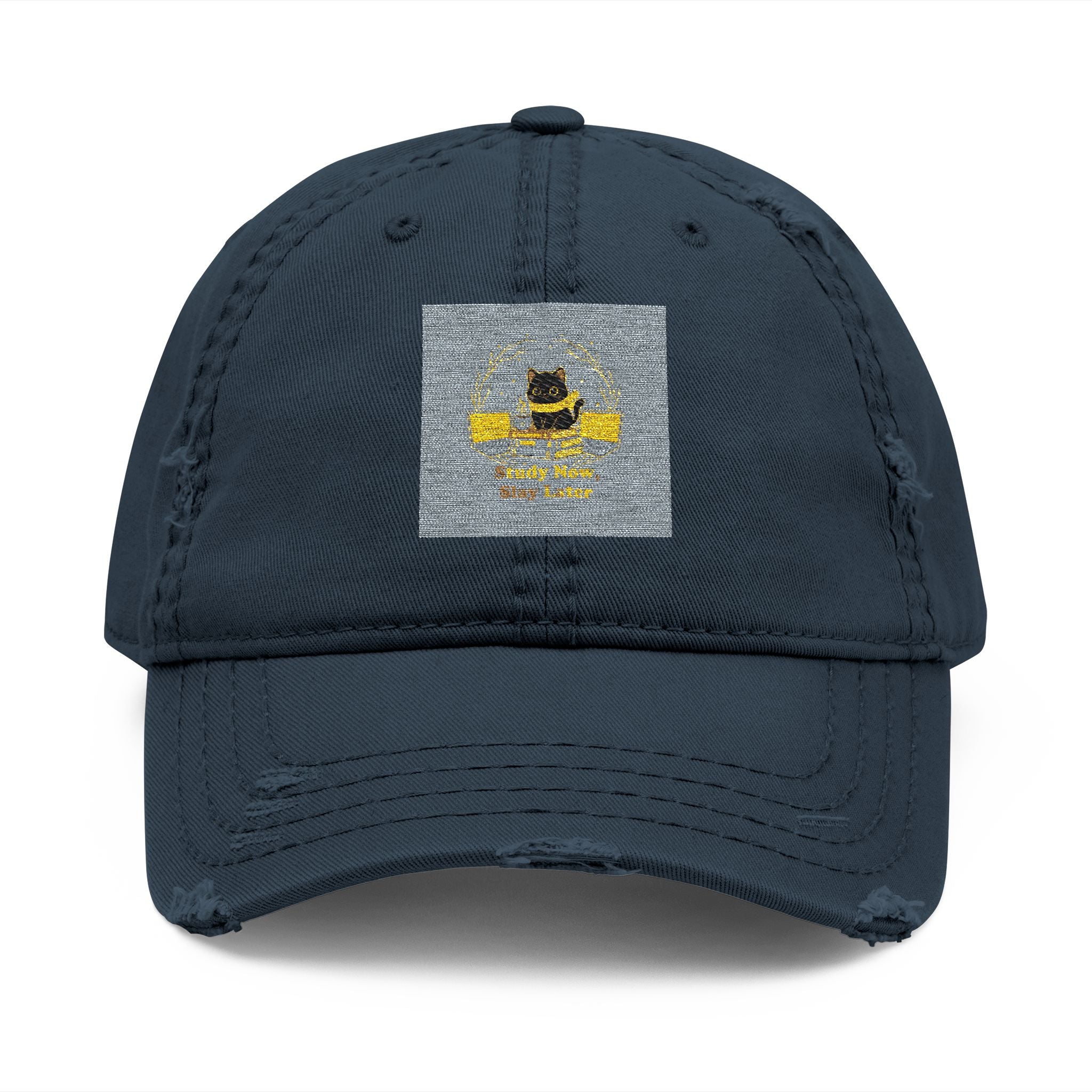 Study Now Slay Later Dad Hat