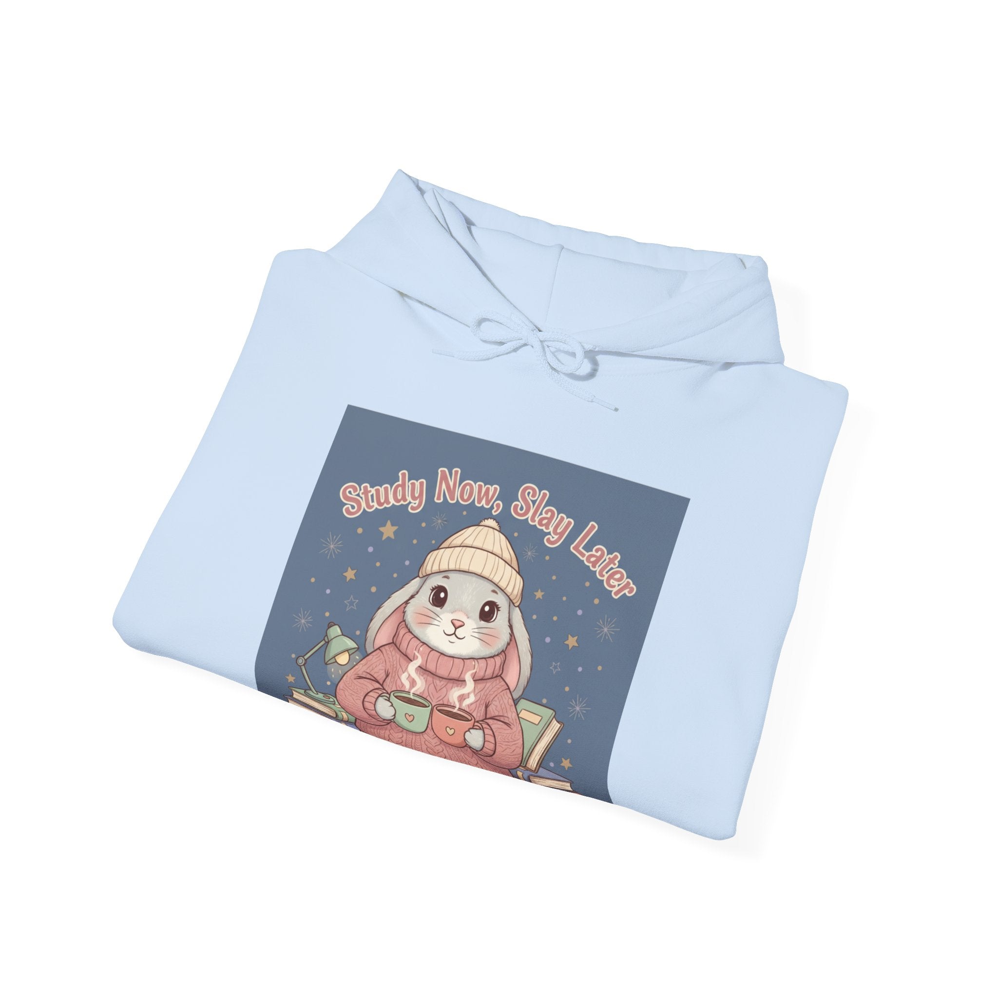 Rabbit Hoodie – Study Now, Slay Later