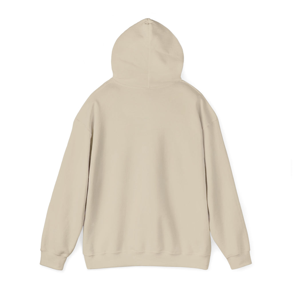 Rabbit Hoodie – Dream Big, Study Hard Believe in Believe in Your Magic