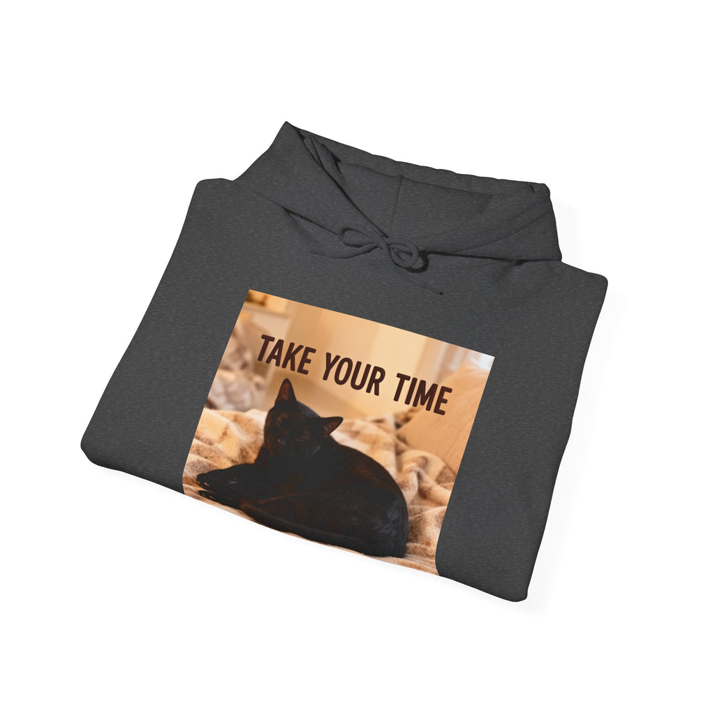 TAKE YOUR TIME Cat Hoodie