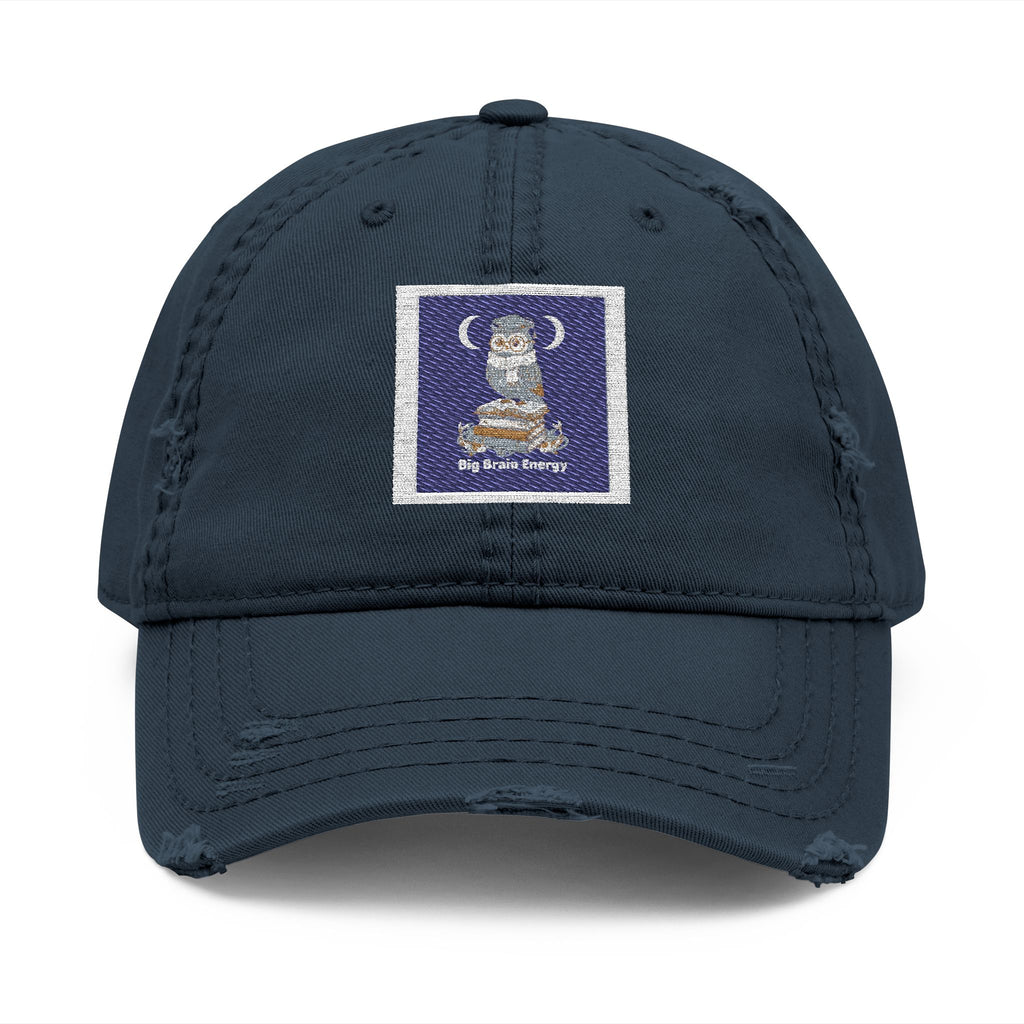 big brain energy Dad Hat