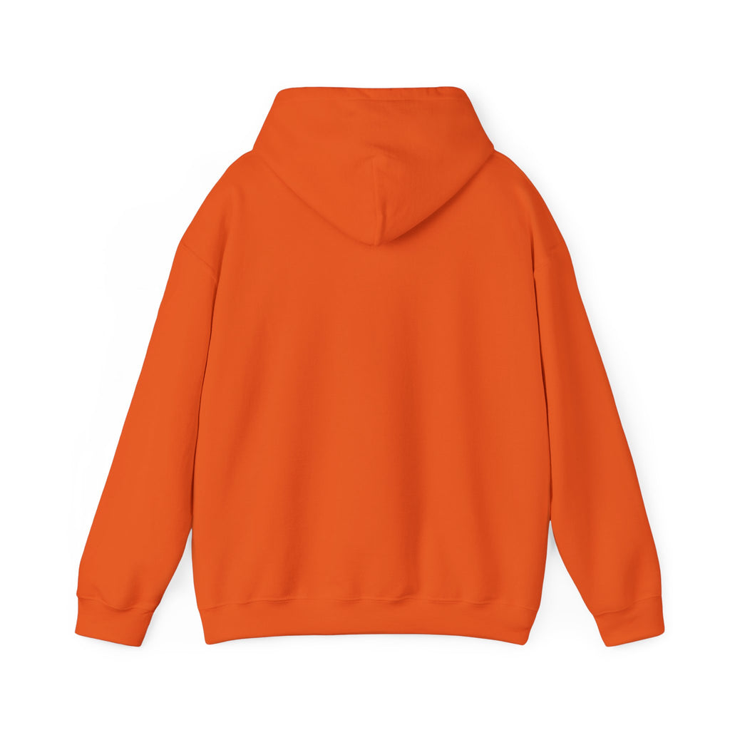 Rabbit Hoodie – Dream Big, Study Hard