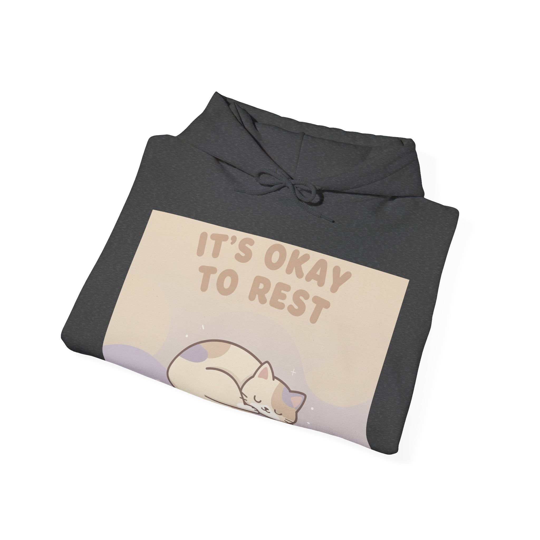 "NEEDS_OCR_SCAN" Black Cat Hoodie | College Girl Gift | Fashion | KayKay Classics