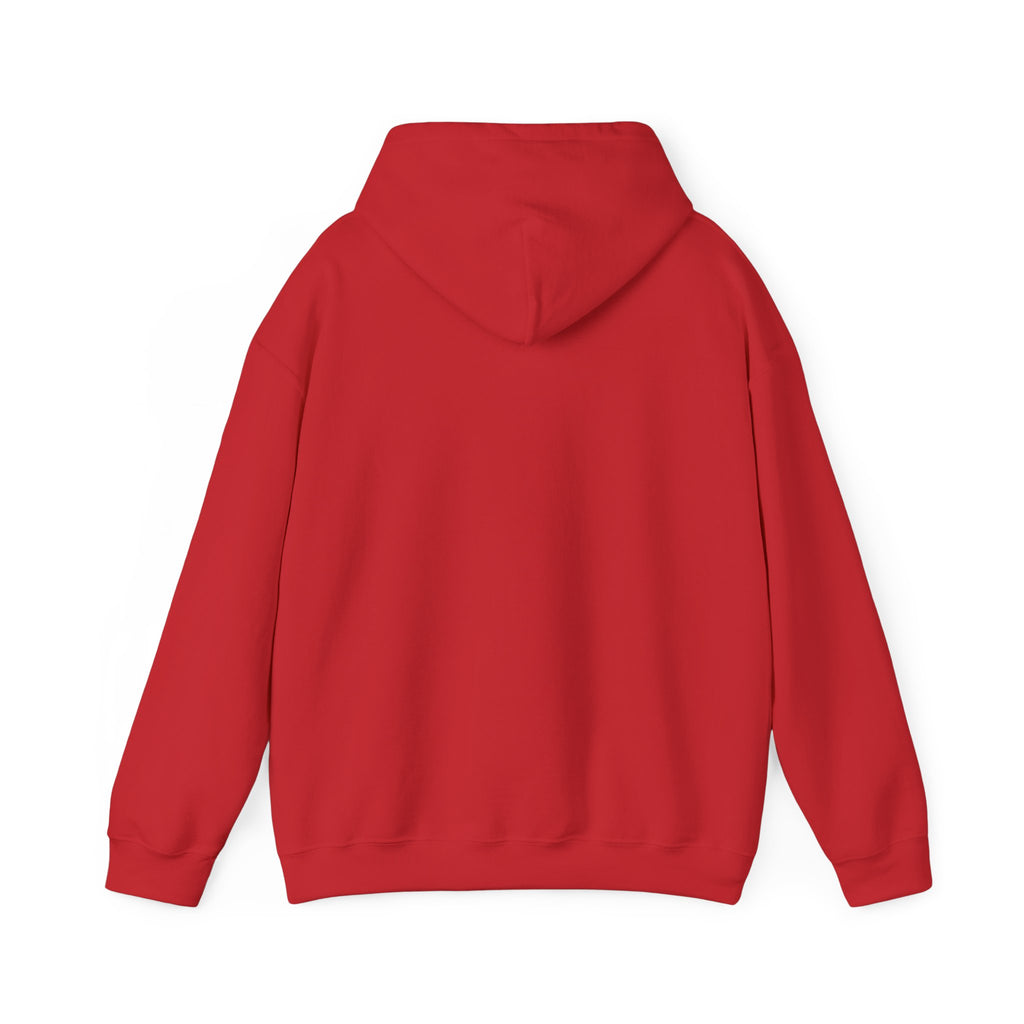 "Library Day" Black Cat Hoodie | College Girl Gift | Fashion | KayKay Classics