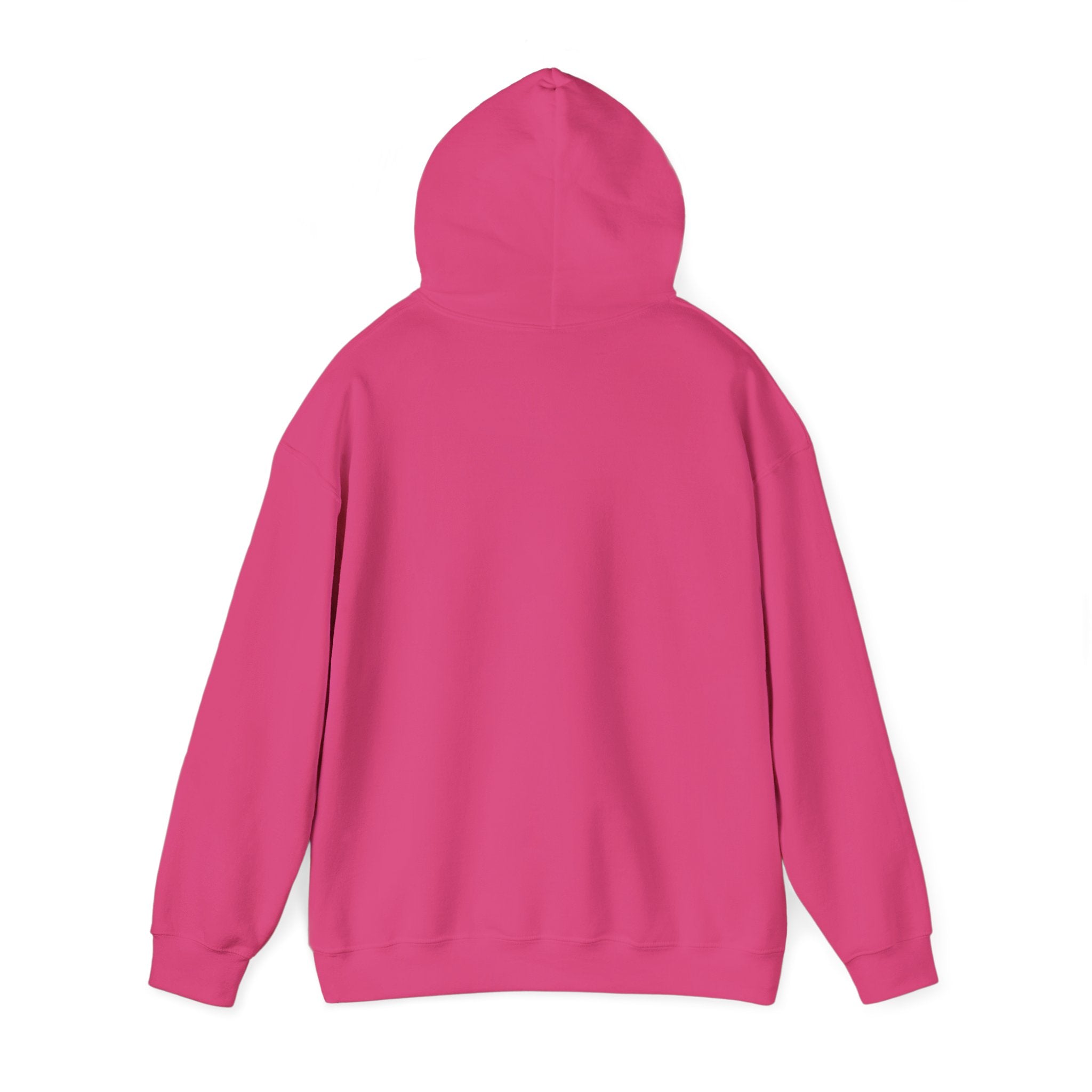 "Life Behind Bars" Black Cat Hoodie | College Girl Gift | Fashion | KayKay Classics