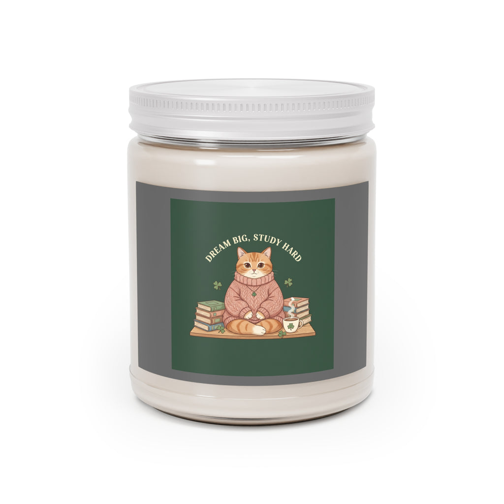 Dream Big Study Hard Cozy bear Scented Candle
