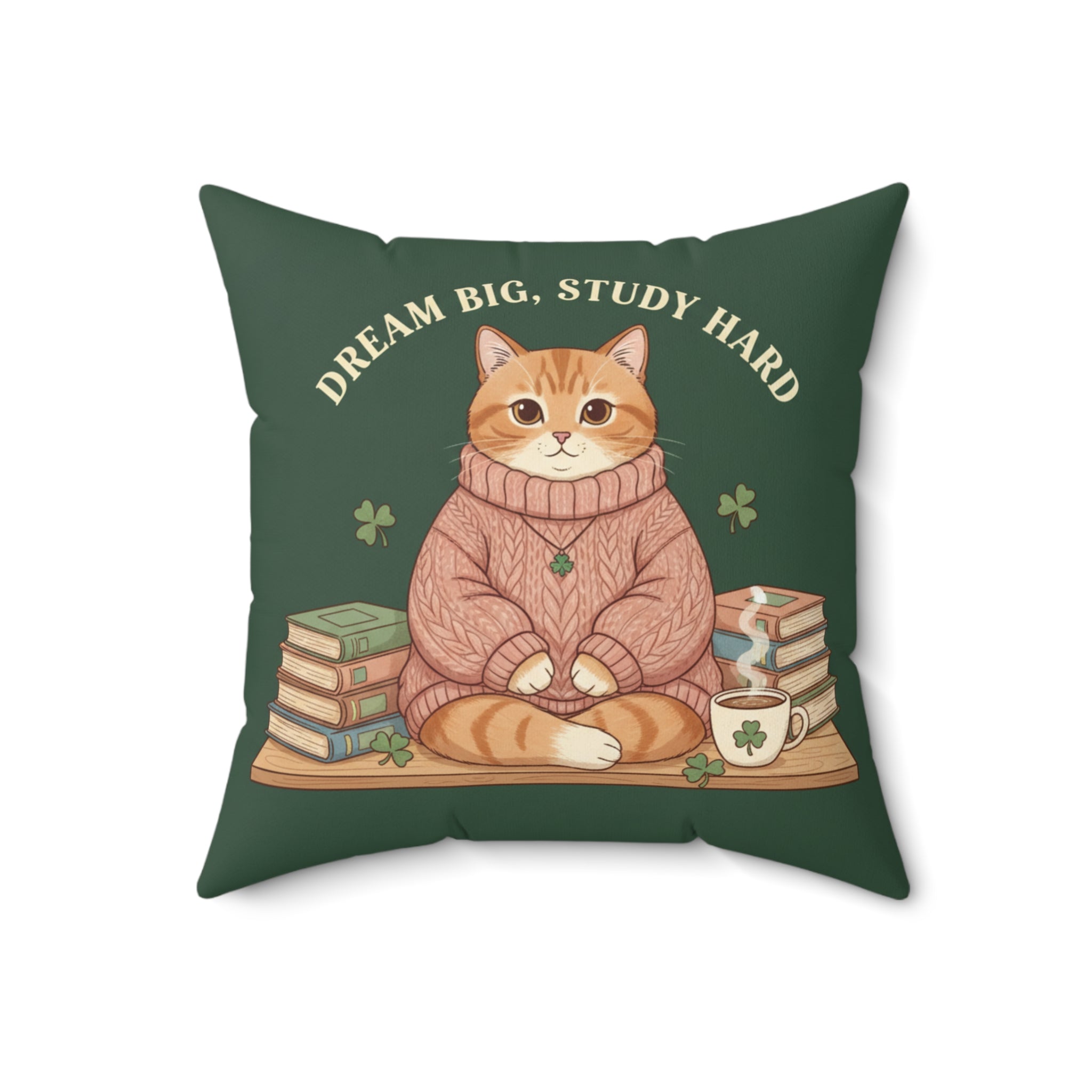 Cat Square Pillow – Dream Big, Study Hard