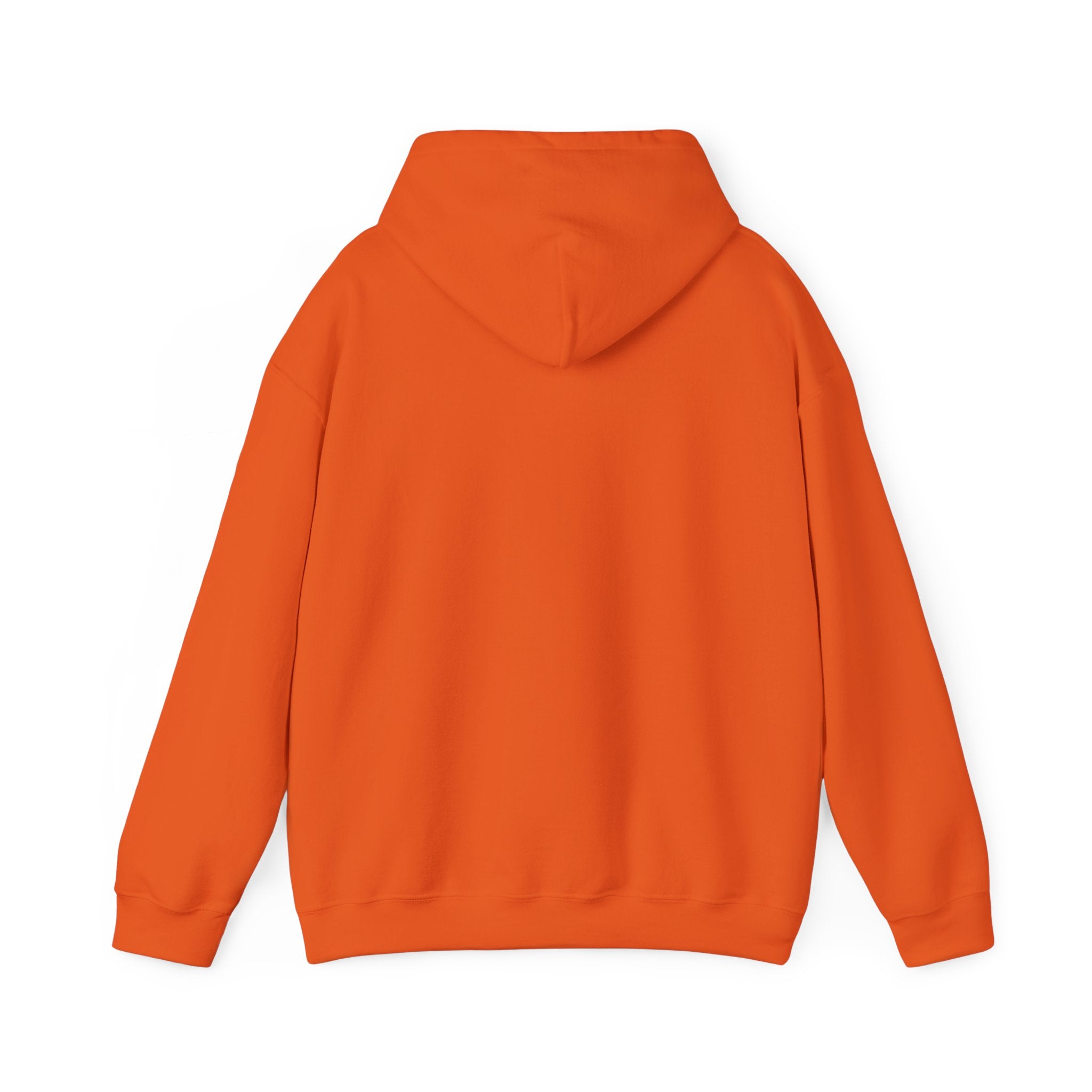 Dragon Hoodie – Dream Big Study Hard