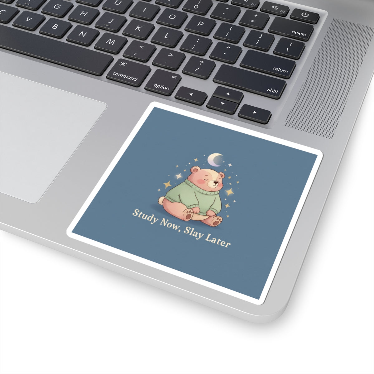Bear Kiss-Cut Sticker – Study Now Slay Later
