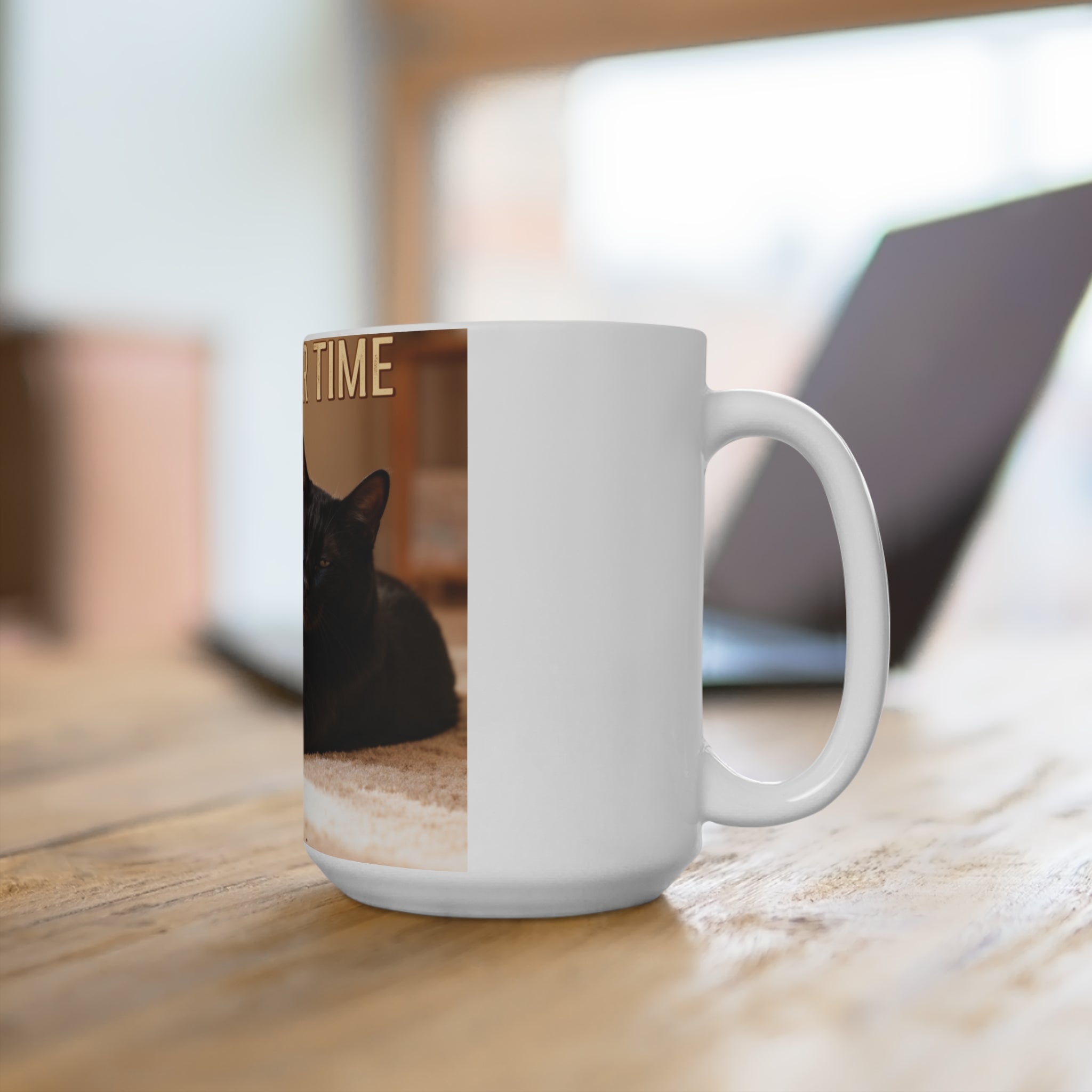 TAKE YOUR TIME Cat Mug 15oz