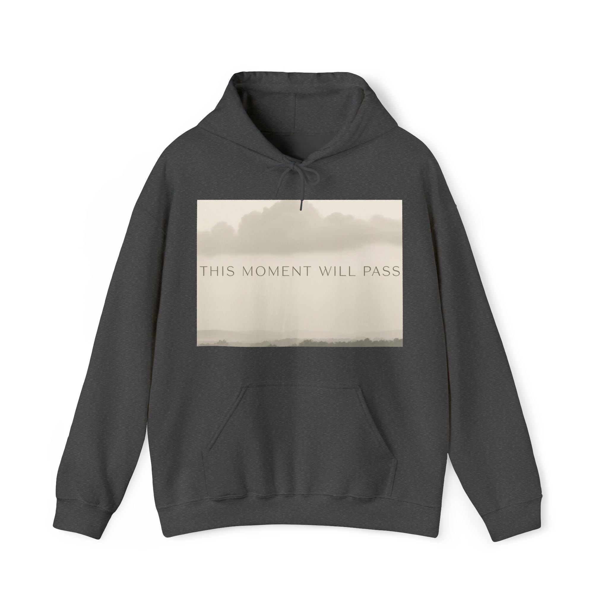THIS MOMENT WILL PASS Hoodie