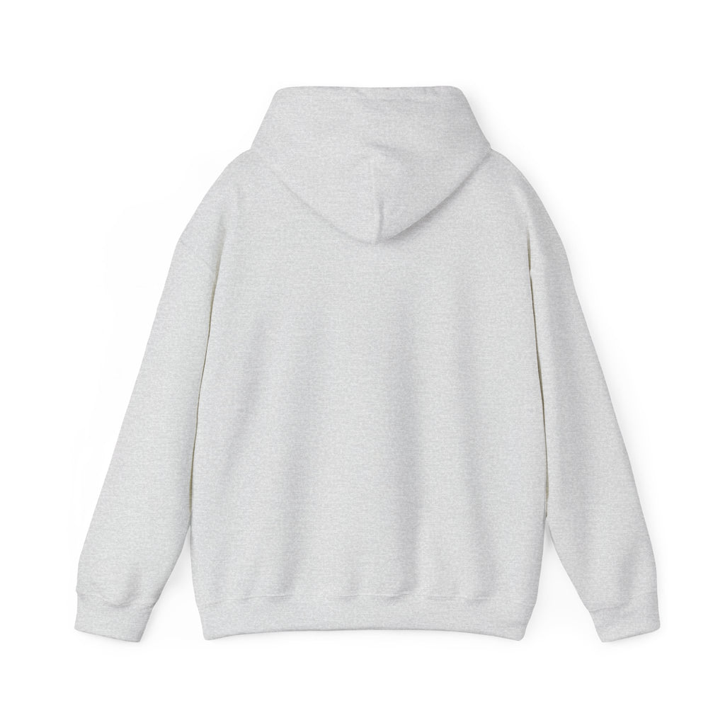 "Life Behind Bars" Black Cat Hoodie | College Girl Gift | Fashion | KayKay Classics