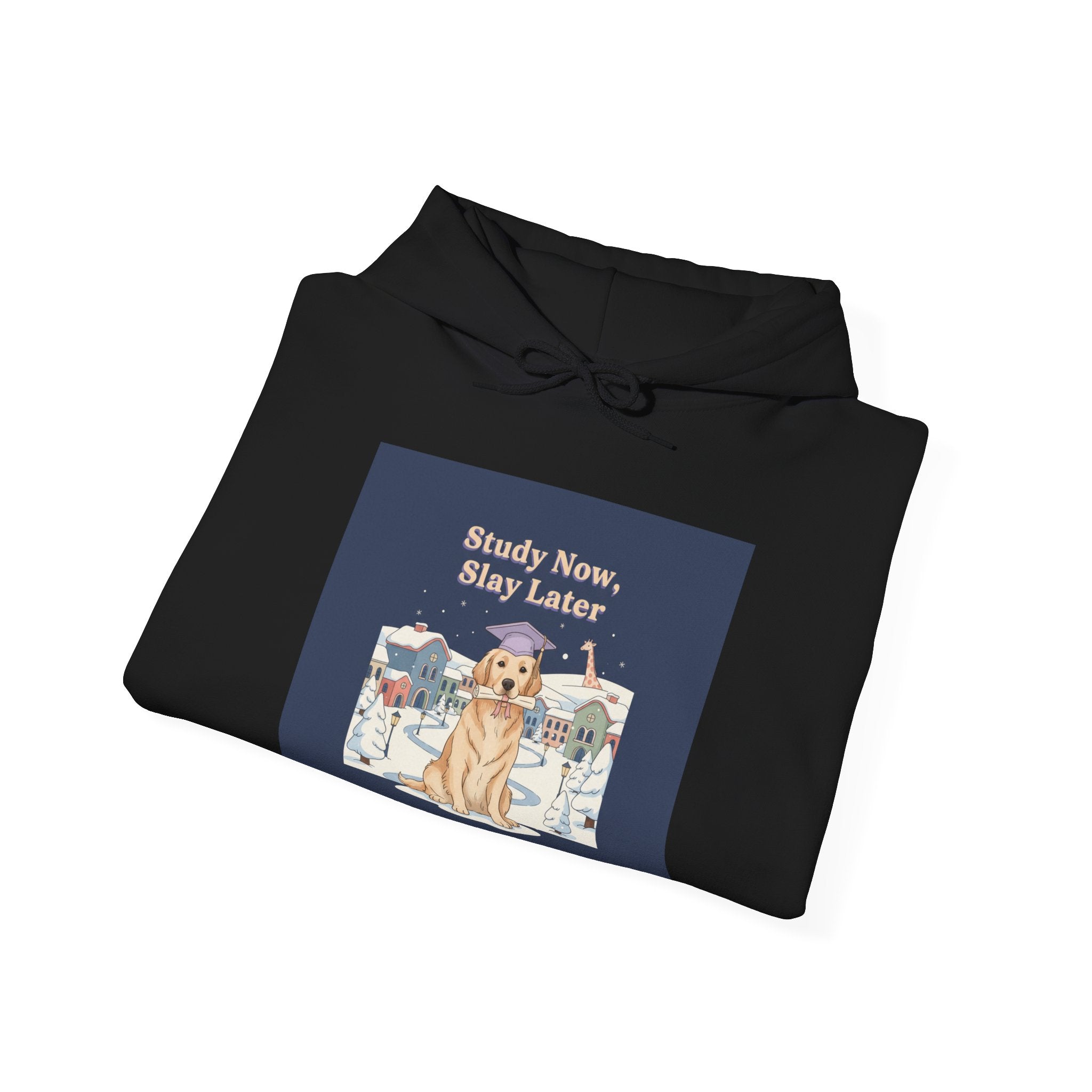 Study Now, Slay Later Dog Hoodie