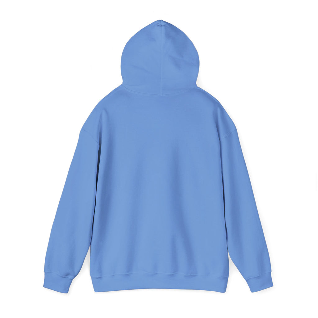 Classy Not Flashy - KayKay Hoodie