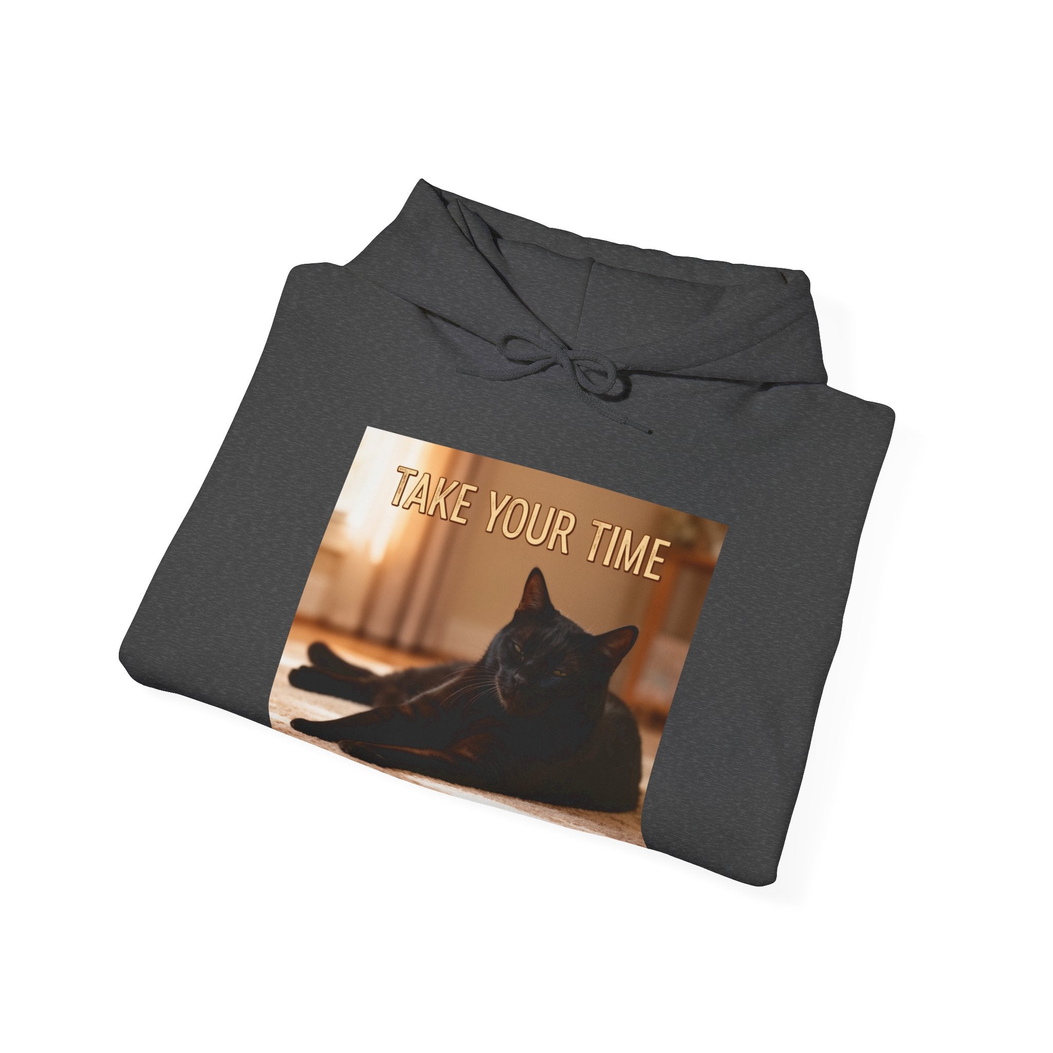 TAKE YOUR TIME Cat Hoodie