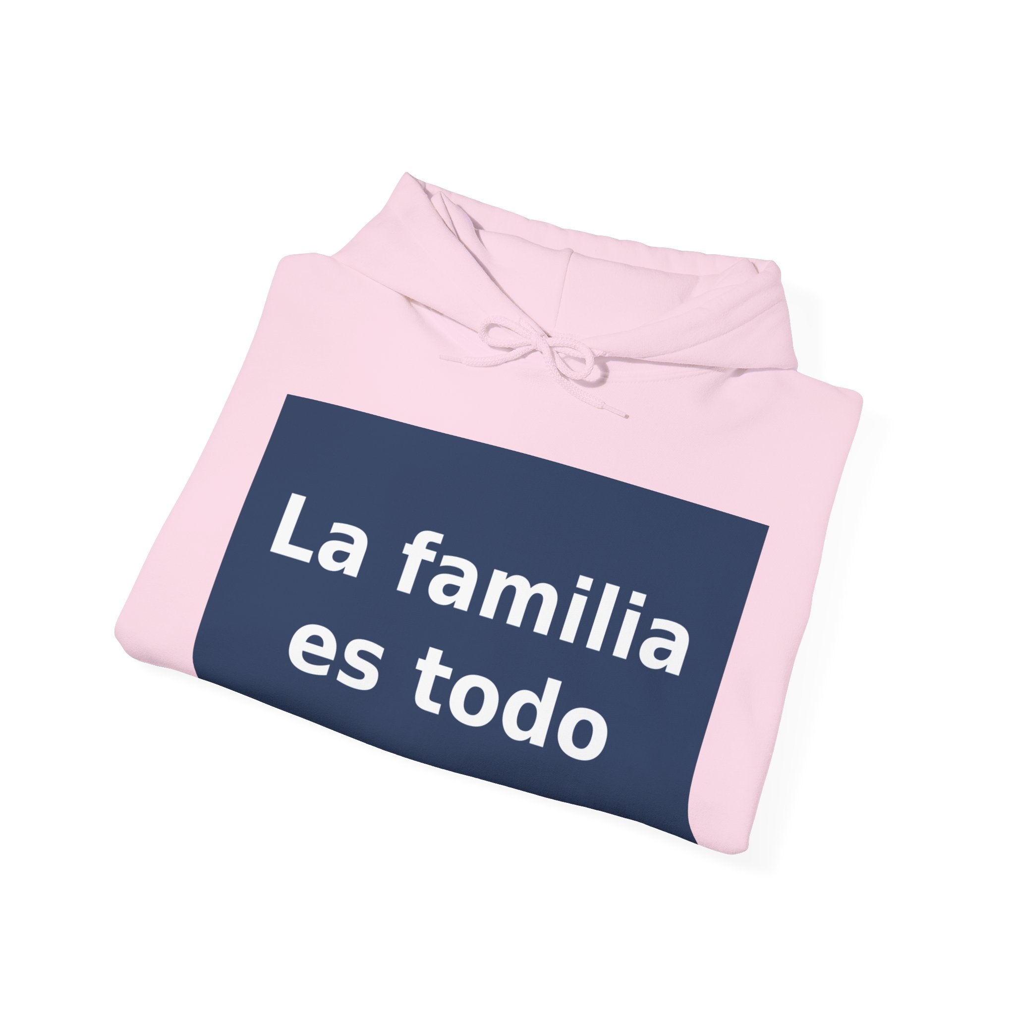 "La familia es todo" Black Cat Hoodie | College Girl Gift | Fashion | KayKay Classics