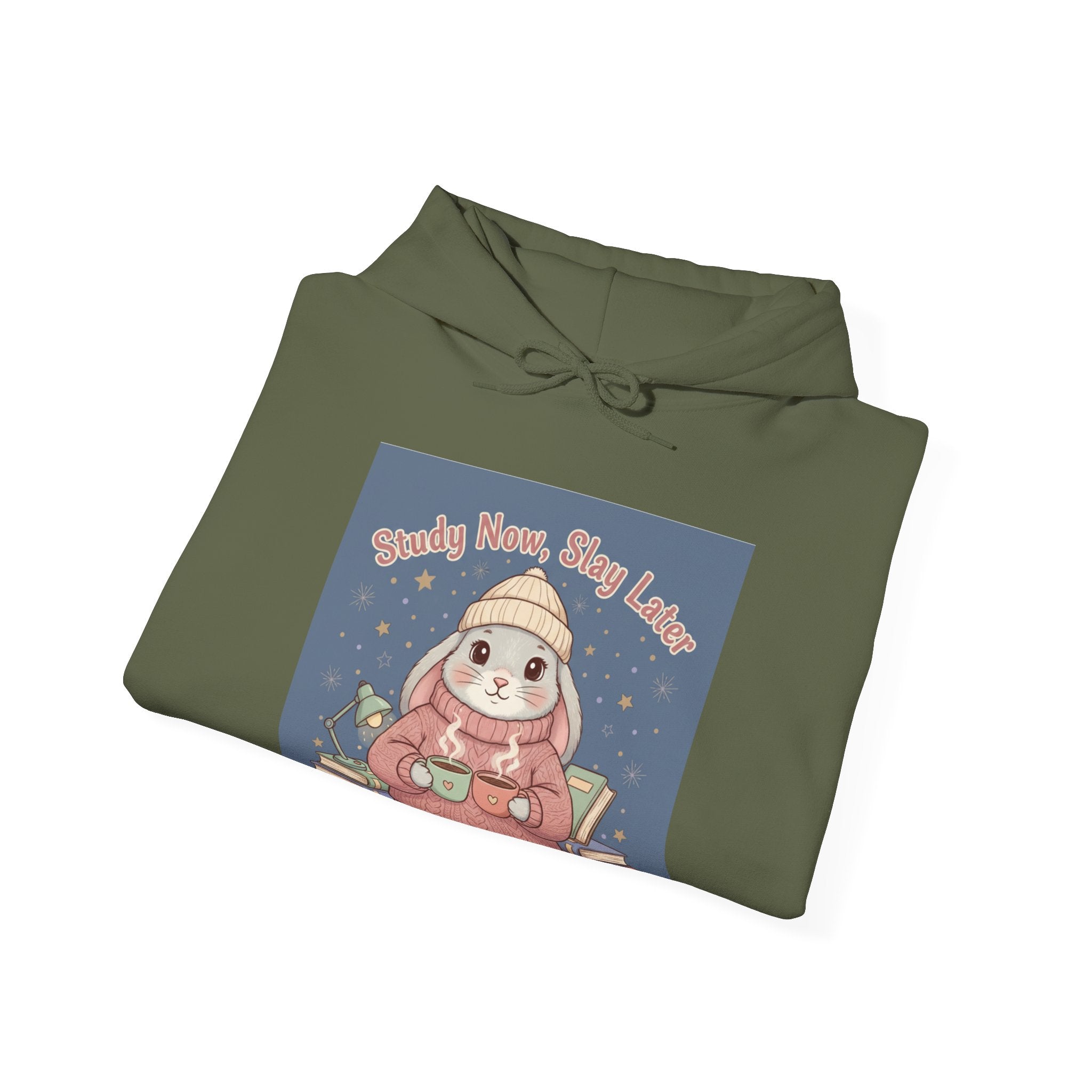 Rabbit Hoodie – Study Now, Slay Later