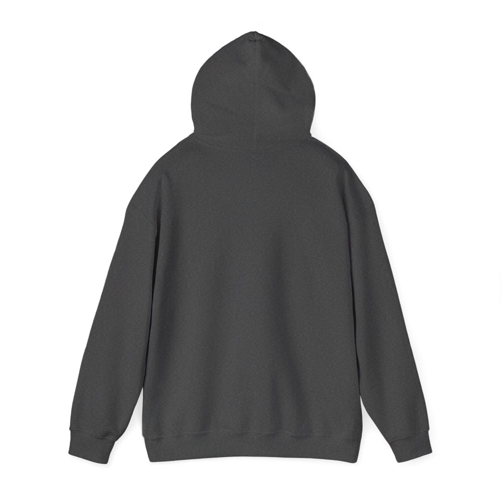 "Design" Black Cat Hoodie | College Girl Gift | Fashion | KayKay Classics