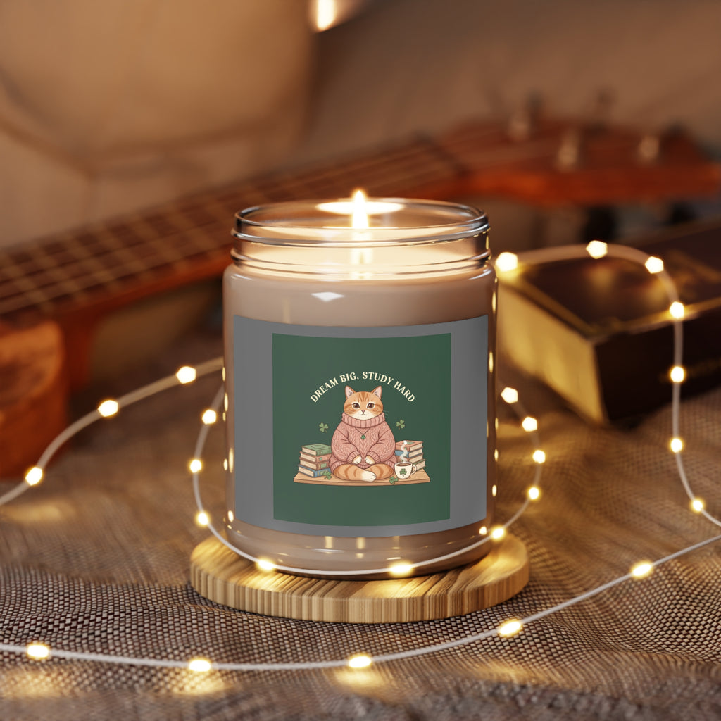 Dream Big Study Hard Cozy bear Scented Candle
