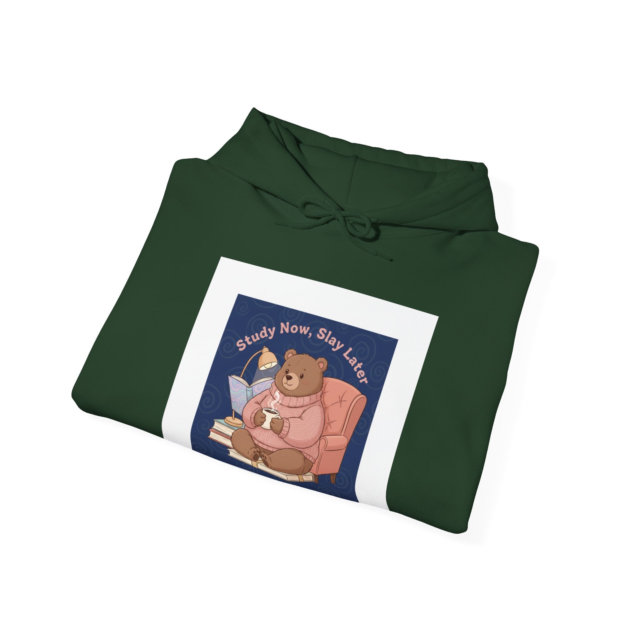 Bear Hoodie – Study Now Slay Later