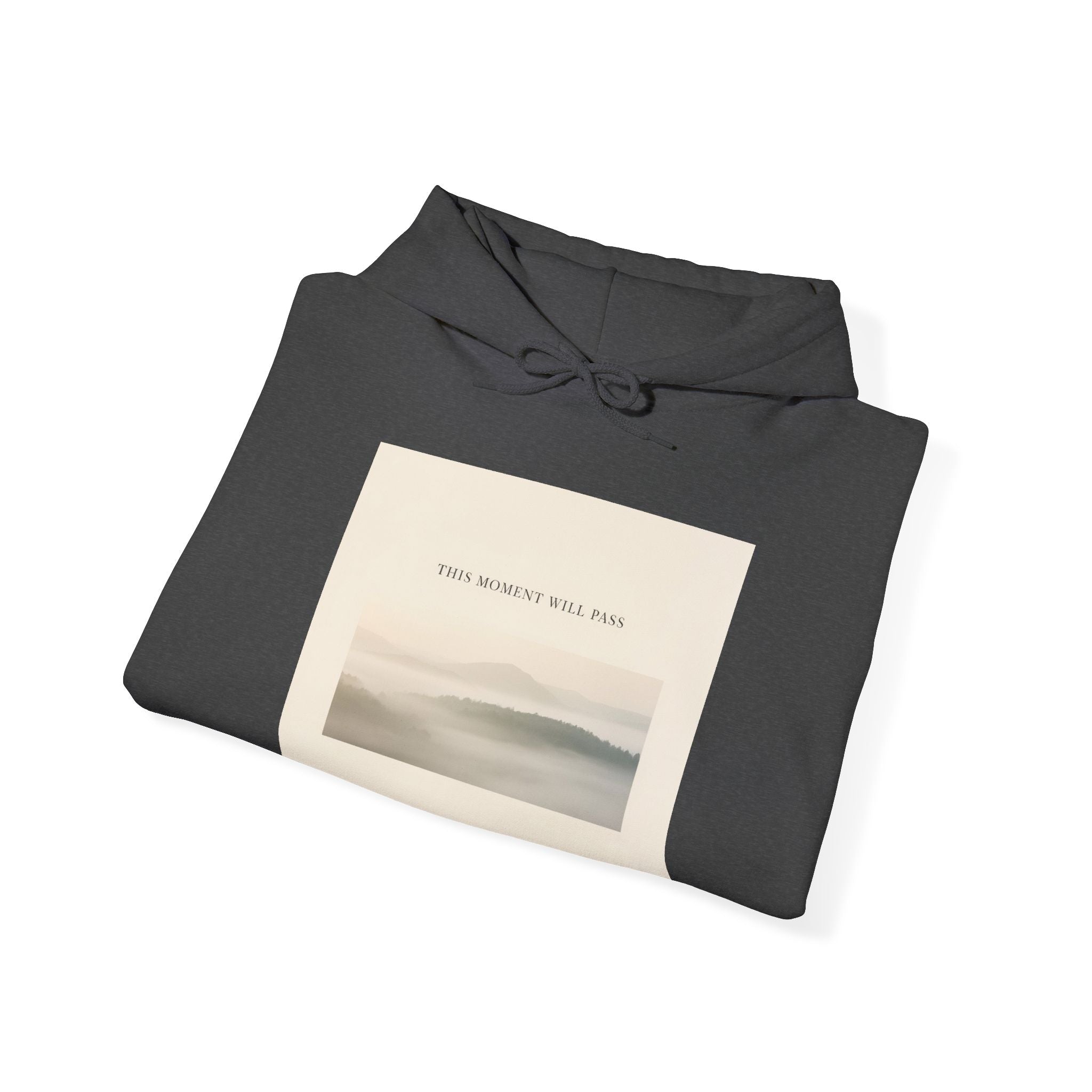 THIS MOMENT WILL PASS Hoodie