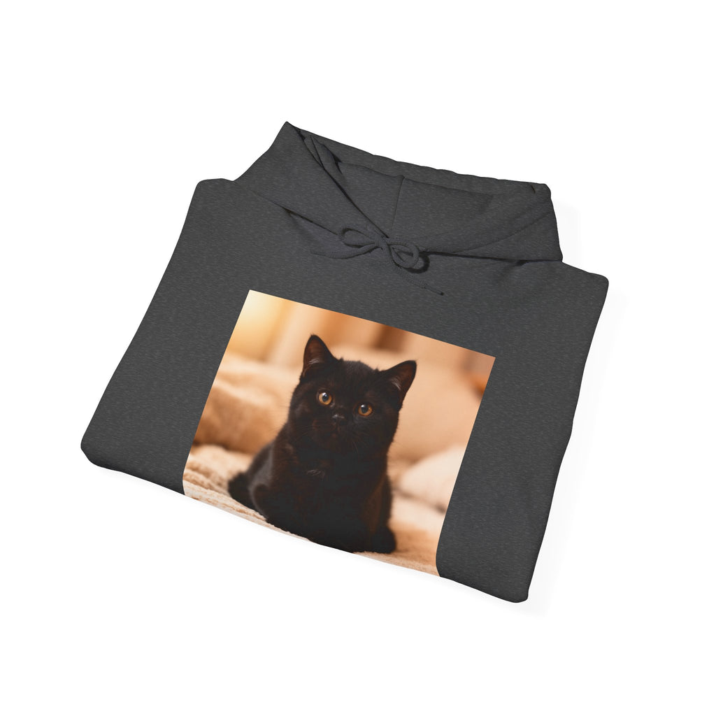 YOURE DOING YOUR BEST Cat Hoodie