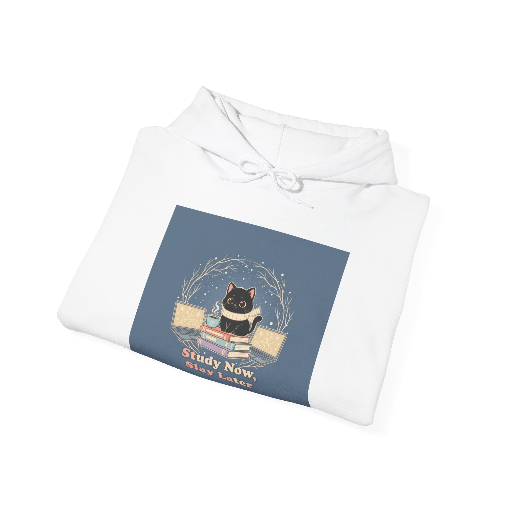 Study Now Slay Later Hoodie