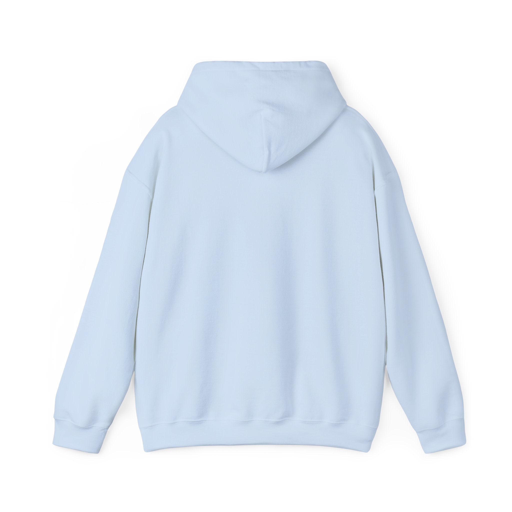 Bear Hoodie – Do Good Be Good