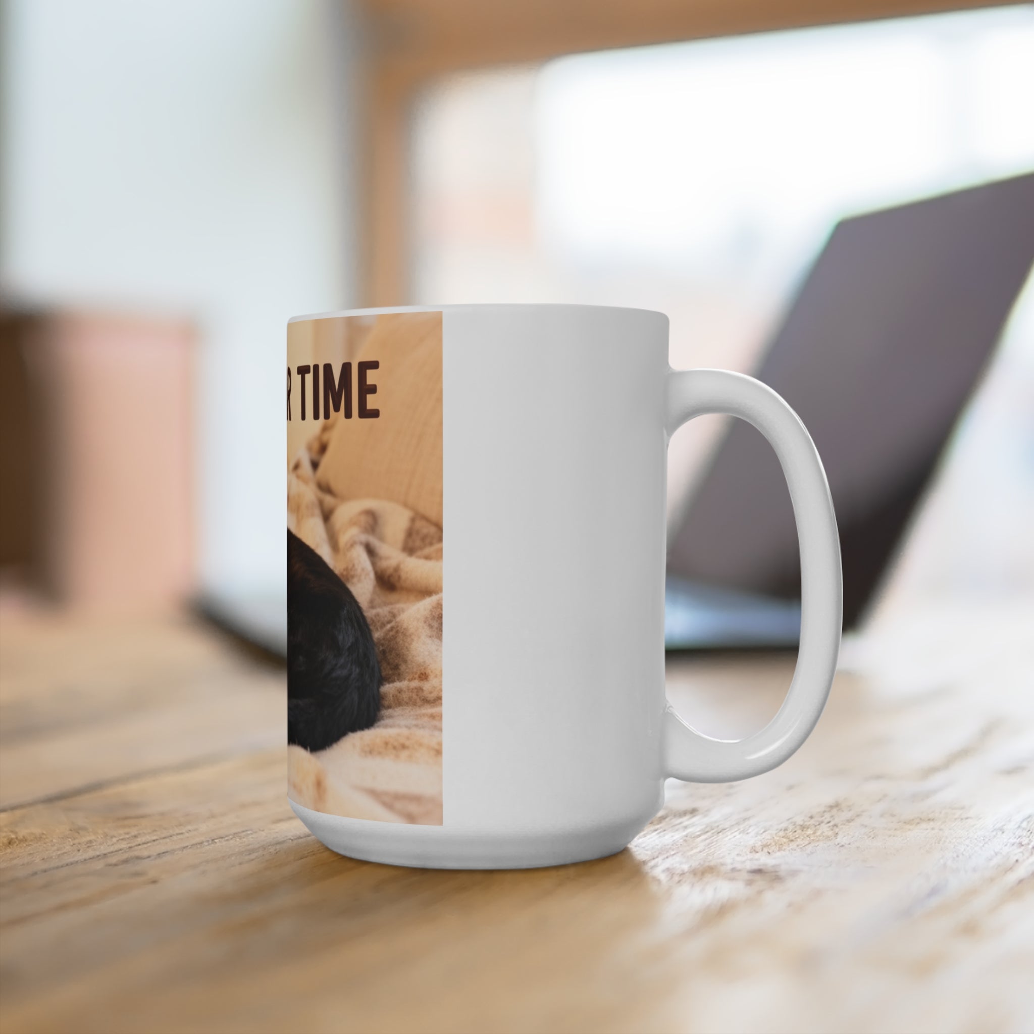TAKE YOUR TIME Cat Mug 15oz