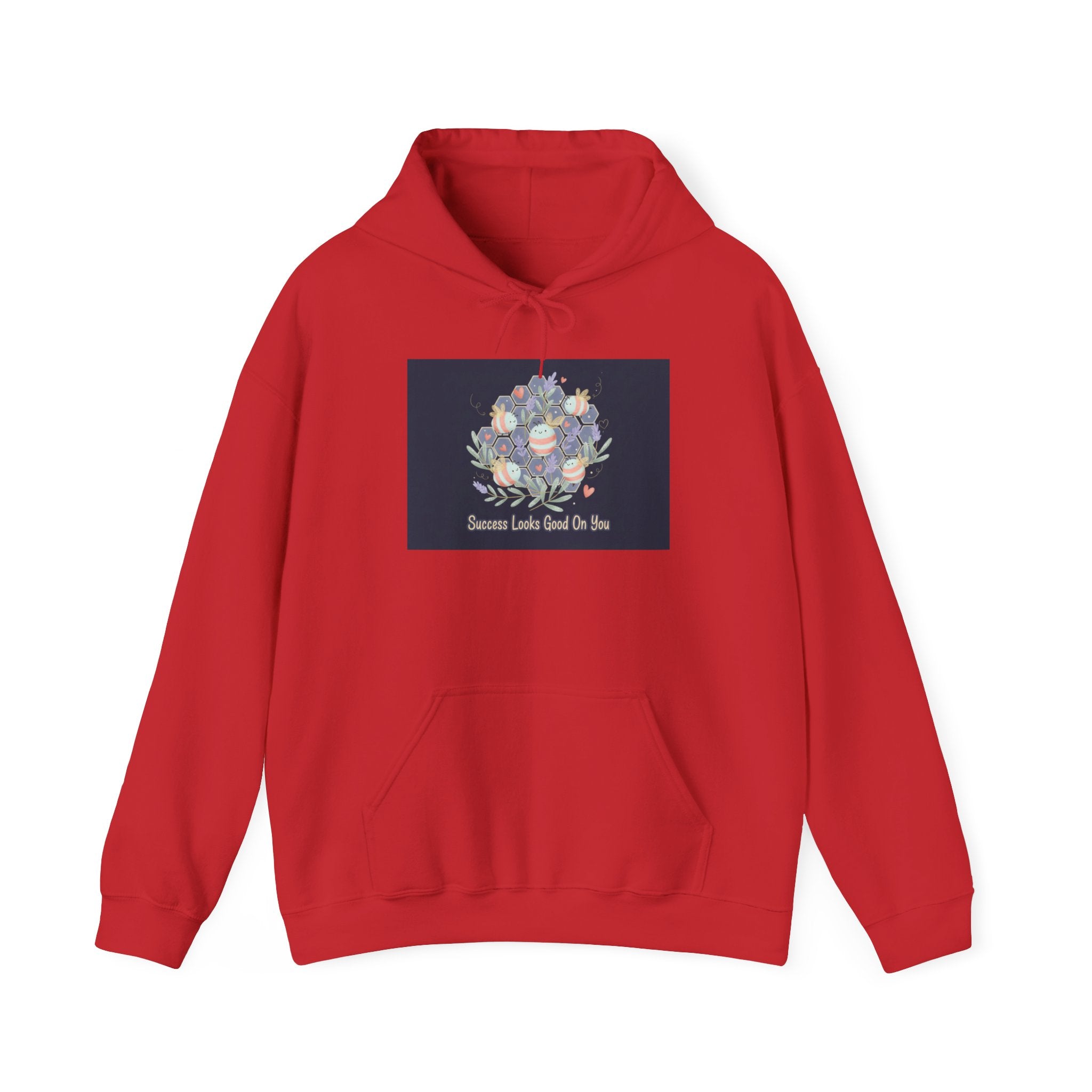 success looks good on you Hoodie