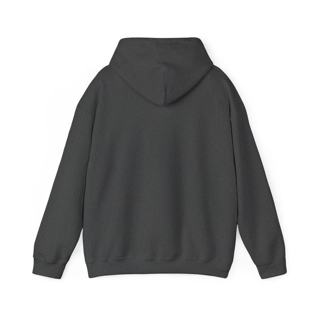 THIS MOMENT WILL PASS Hoodie