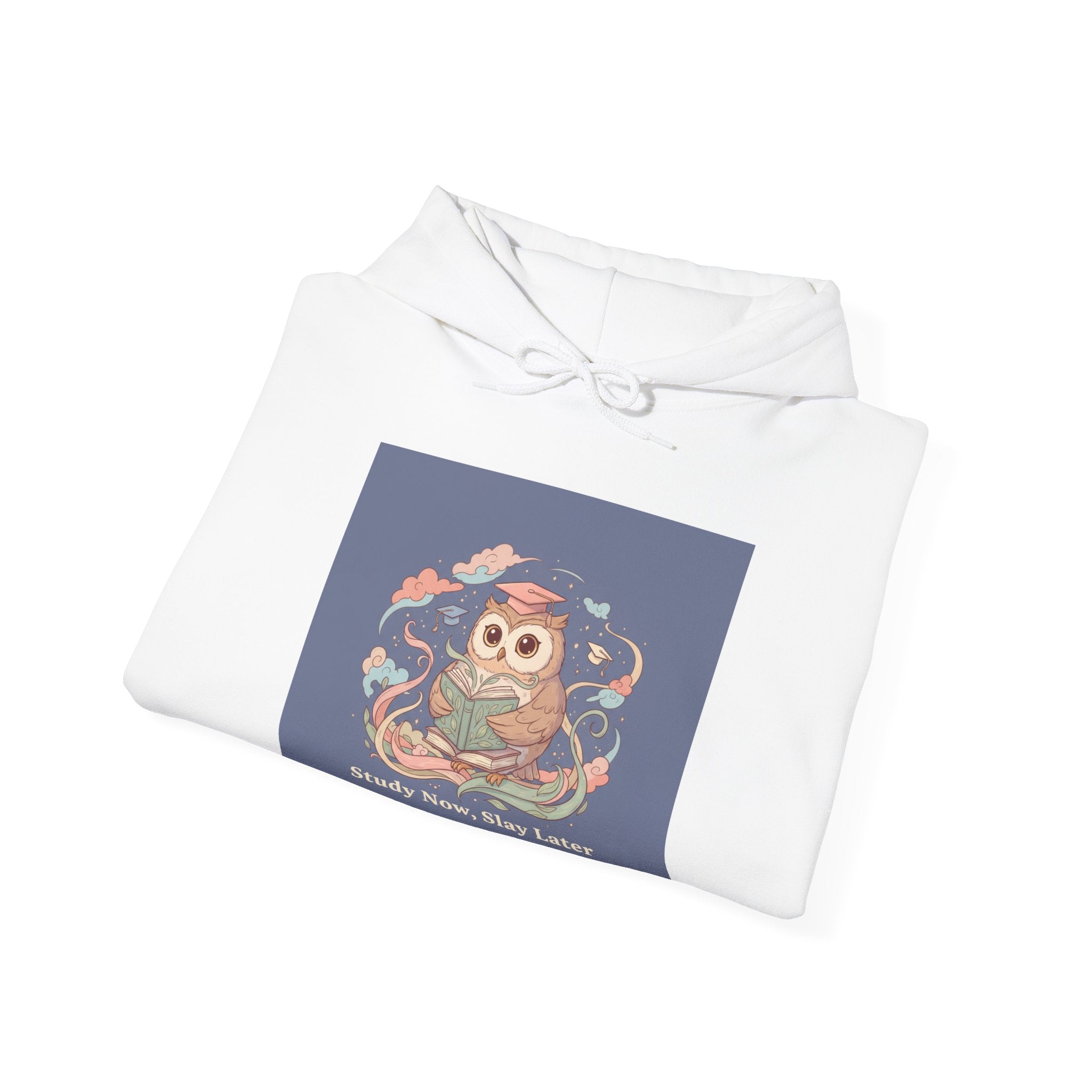 Owl Hoodie – Study Now Slay Later