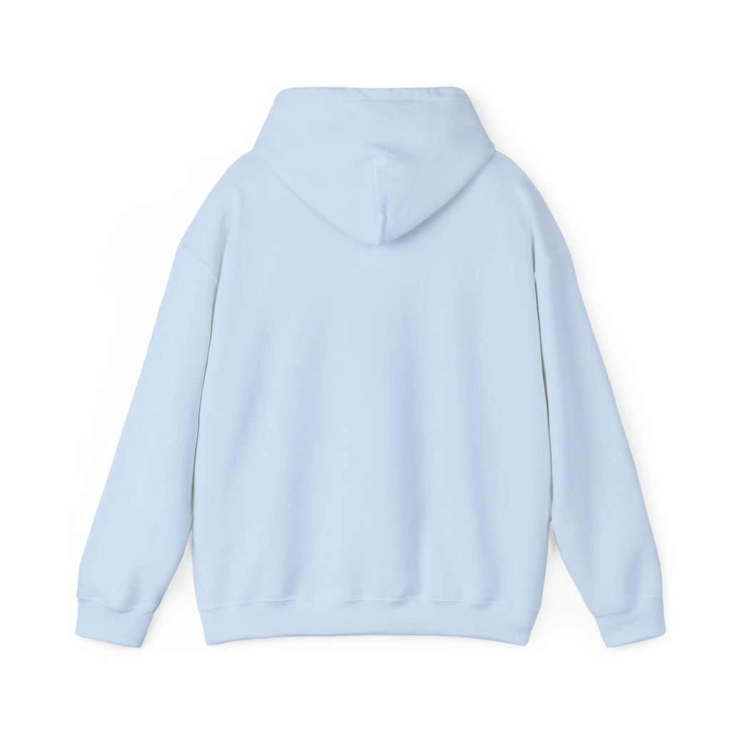 Rabbit Hoodie – Study Now, Slay Later. Goals on Goals