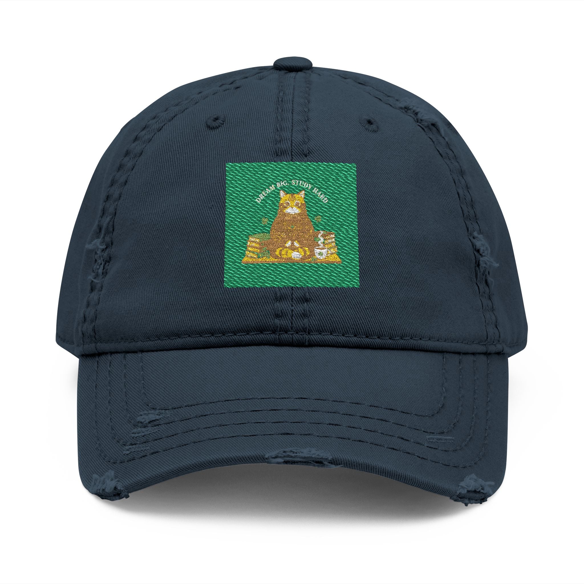 Dream Big Study Hard Cozy bear Dad Hat