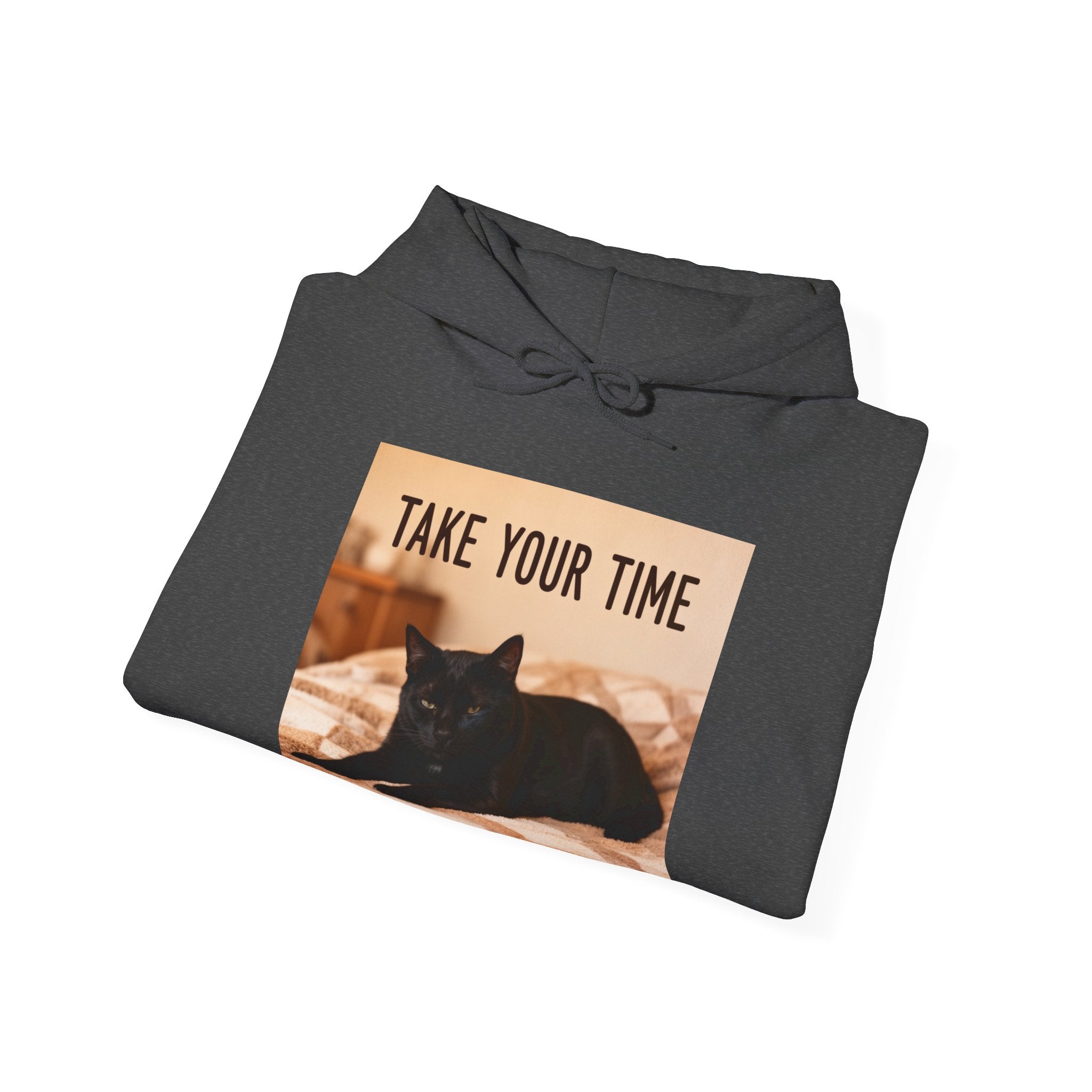 TAKE YOUR TIME Cat Hoodie