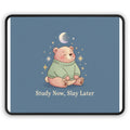 Bear Mouse Pad – Study Now Slay Later