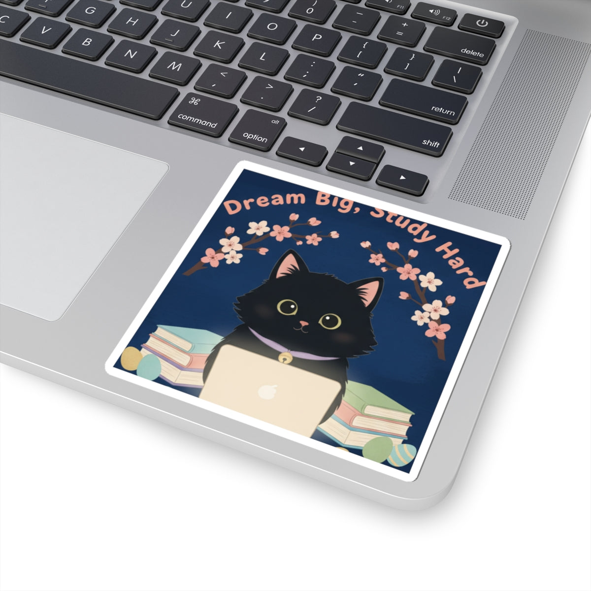Black Cat Kiss-Cut Sticker – Dream Big Study Hard
