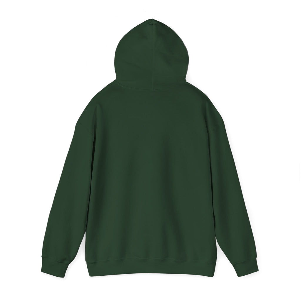 Cat Hoodie – Library Days Are the Best Days
