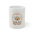 Study Now, Slay Later Mug 11oz