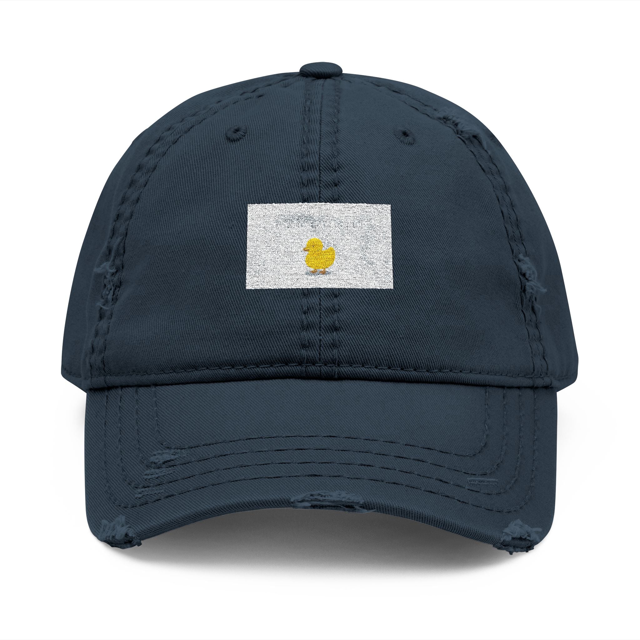 TAKE IT ONE DAY AT A TIME Duck Dad Hat
