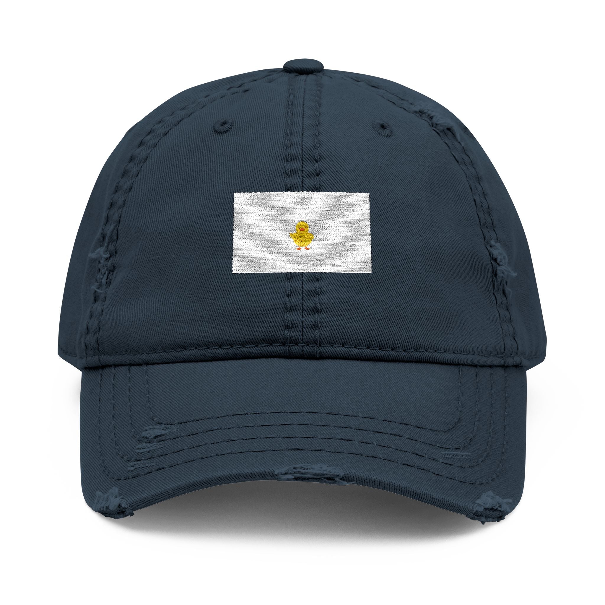 TAKE IT ONE DAY AT A TIME Duck Dad Hat
